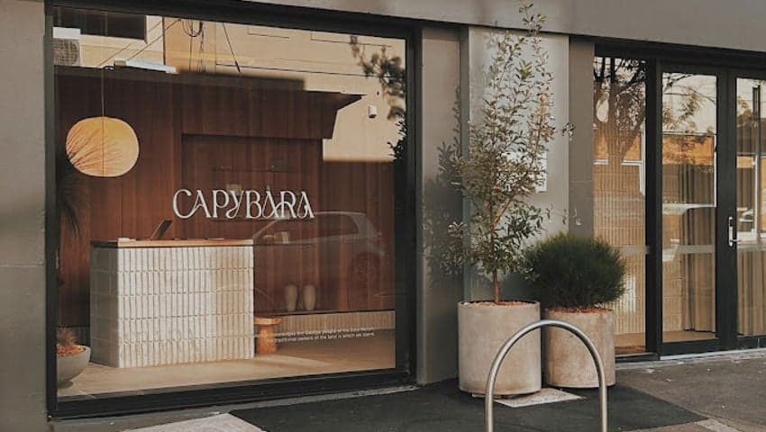 Capybara Bathing - 4